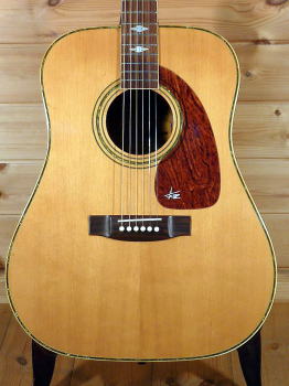 TAKEHARU WT-250 タケハルギター